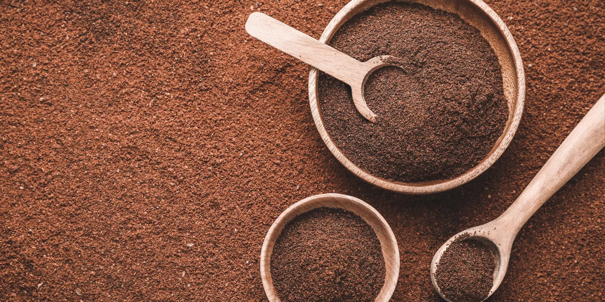 Powdered Mushrooms vs Extracts and the Ritual of Potency