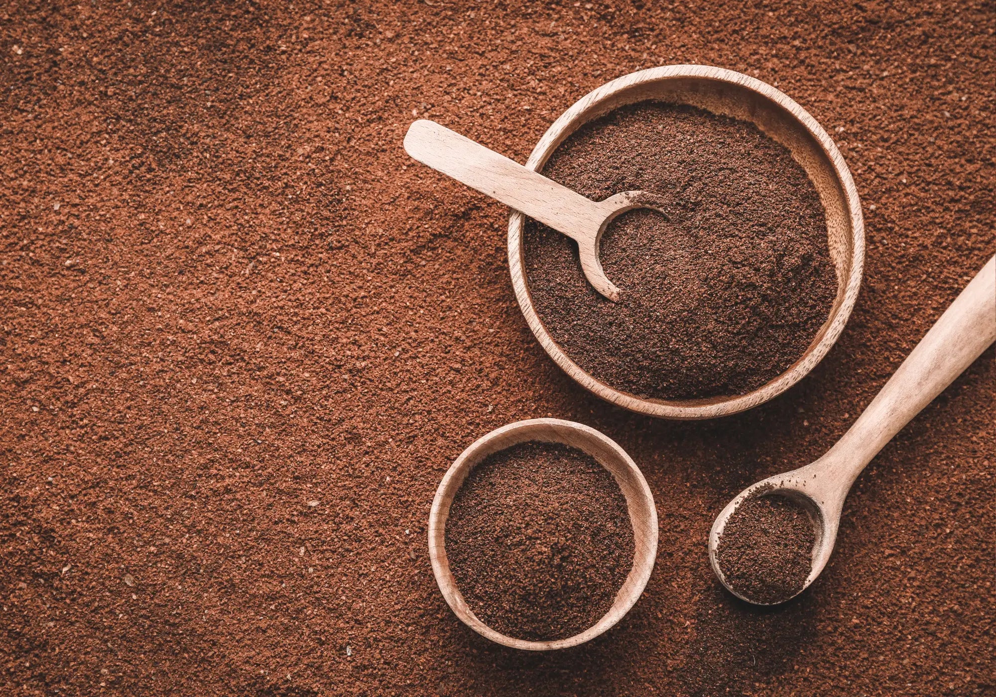 Powdered Mushrooms vs Extracts and the Ritual of Potency