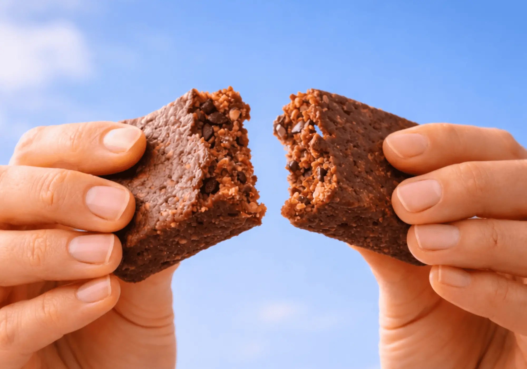 Your Gut Is Talking to Your Brain Right