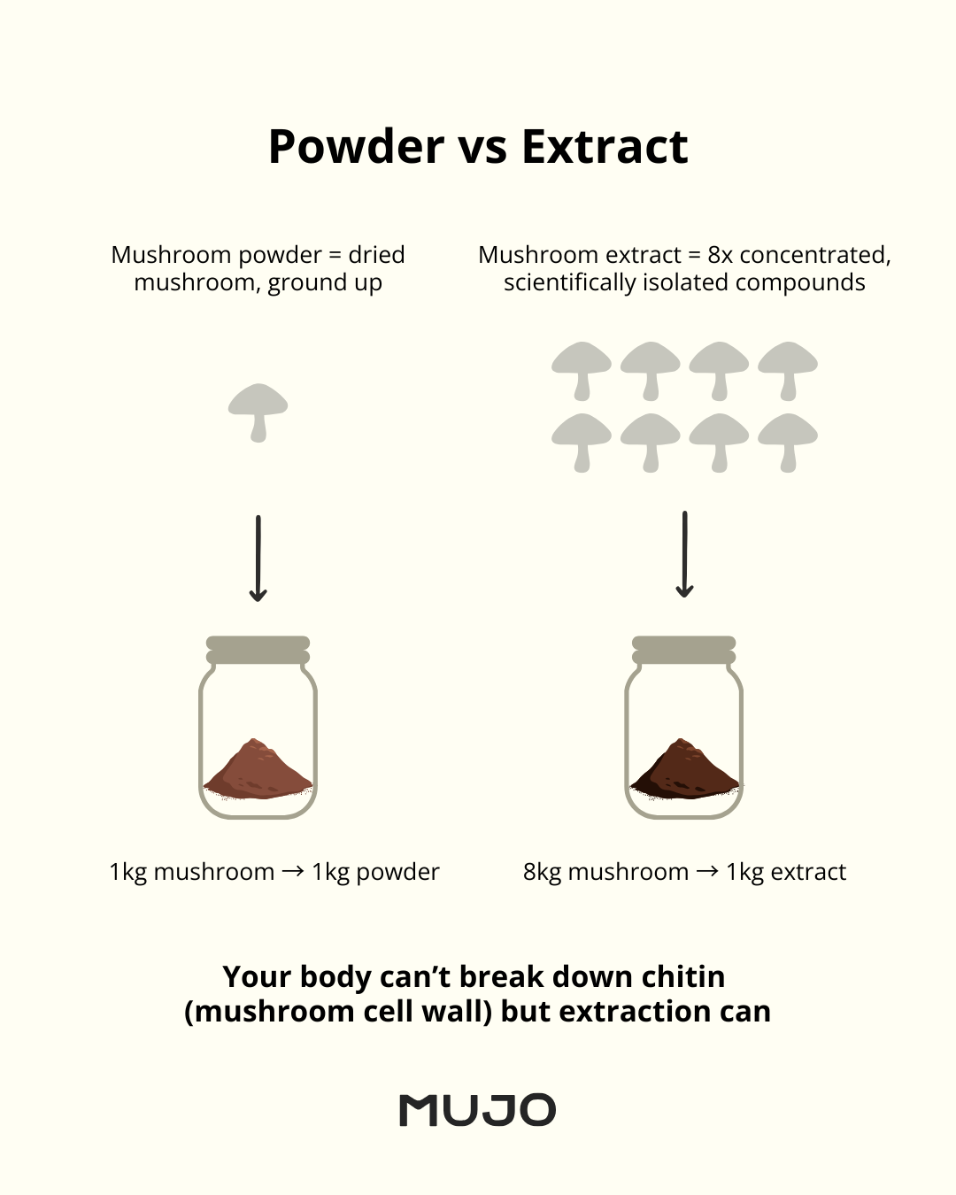 Powdered Mushrooms vs Extracts and the Ritual of Potency