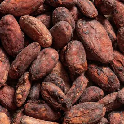 Brown, rough-textured cocoa beans with a natural, earthy appearance.