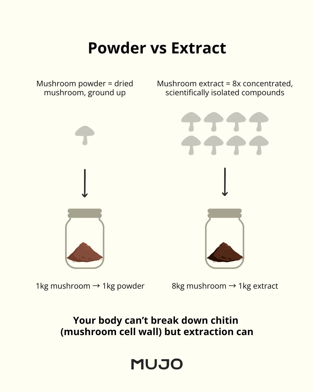 Mushroom powder vs extract preparation processes in glass jars
