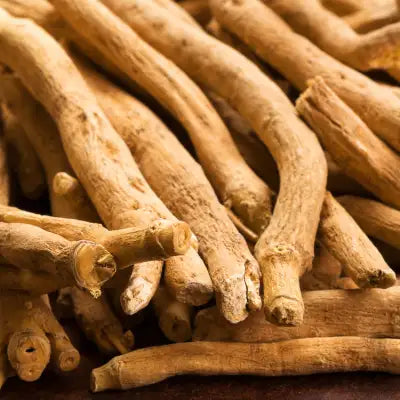 A pile of light brown, rough-textured senna root sticks.
