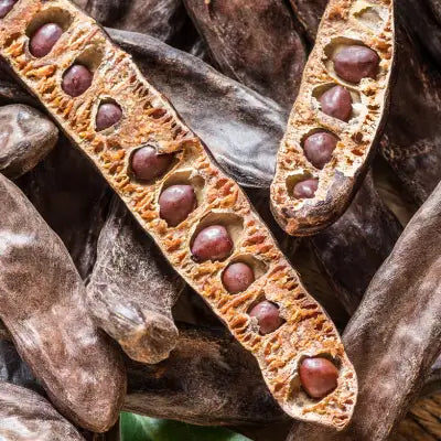 Split open, brown carob pods with dark reddish-brown seeds nestled inside.