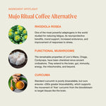 The Ritual Mushroom Cacao