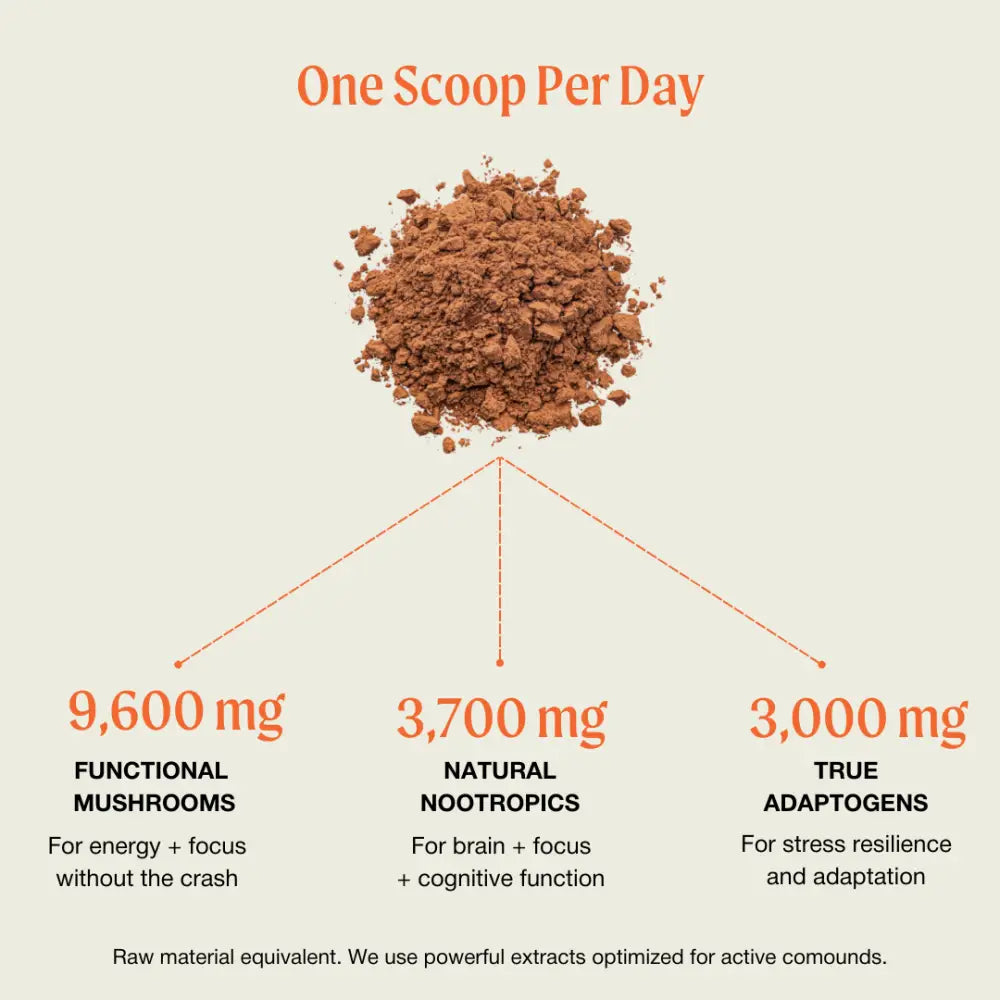 The Ritual Mushroom Cacao