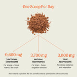 The Ritual Mushroom Cacao