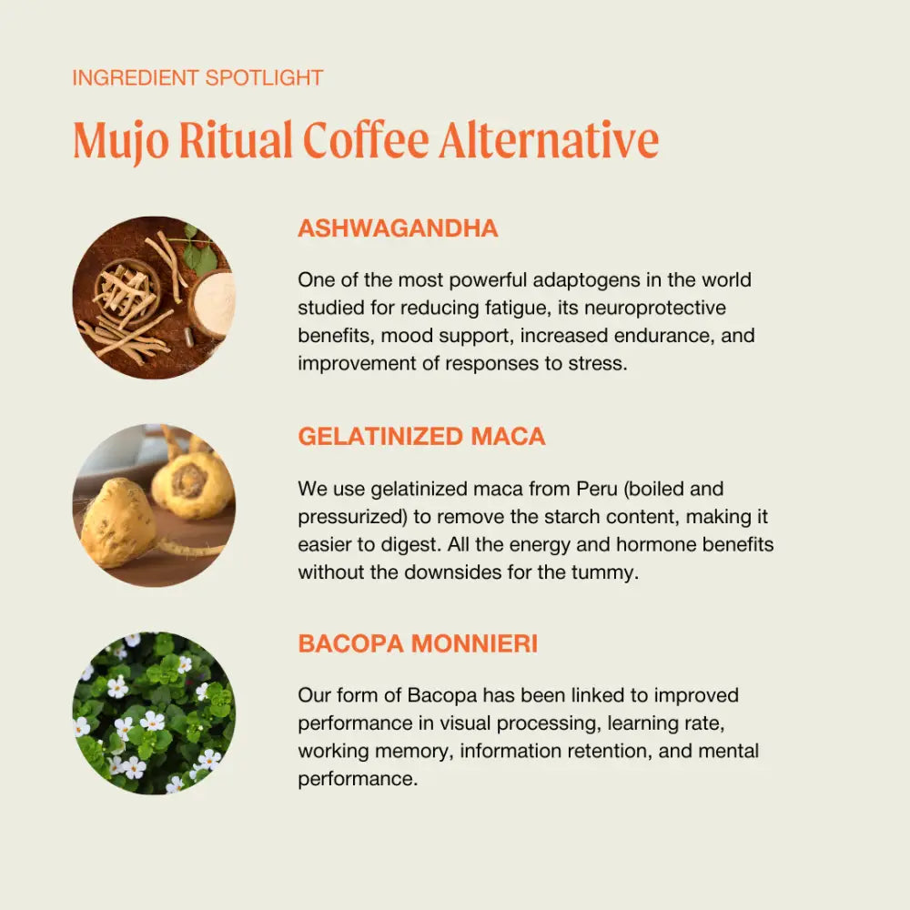 The Ritual Mushroom Cacao