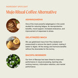 The Ritual Mushroom Cacao