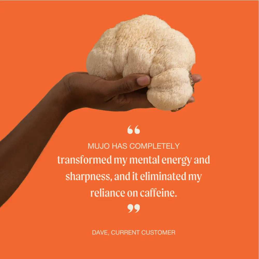 The Ritual Mushroom Cacao