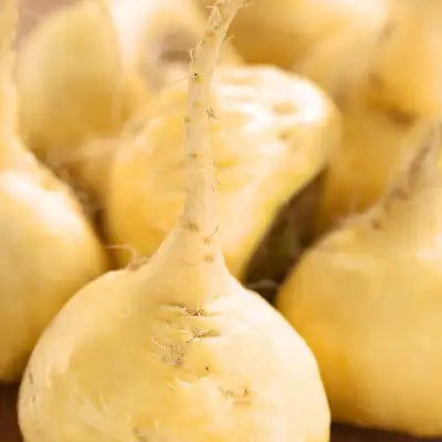 Yellow, round root vegetable with a slender stem and slightly rough skin.